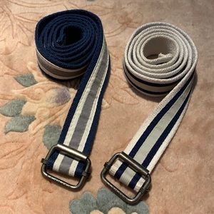 Express Canvas Navy and White Belt